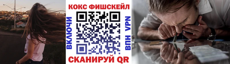 Купить где  Краснозаводск  КОКАИН Fish Scale 