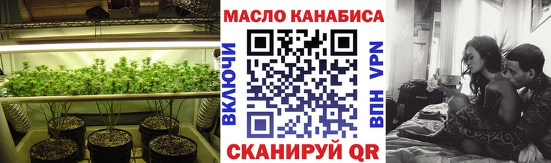 Купить закладки  Краснозаводск  ТГК гашишное масло 
